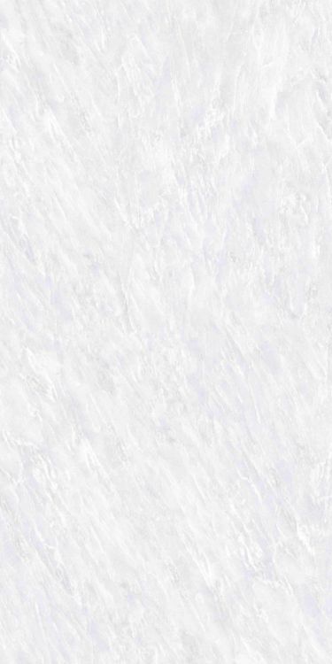 OL Vivid White Polished 24 x 48